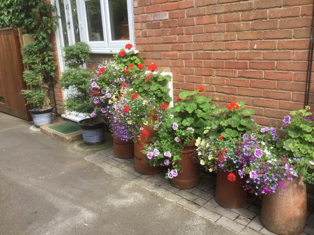 Albertine ,A Warm Welcome Awaits You ,Offering Room Only Or Bed And Breakfast ,Ideal Location For Solent Way ,High Street ,Isle Of Wight ,New Forest Lymington Exteriör bild